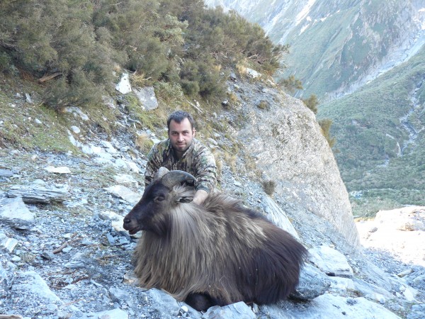 Tahr Hunting In New Zealand