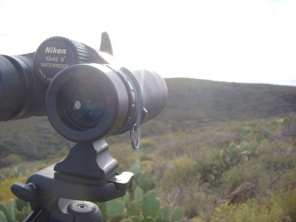 Finding The Best Binoculars For Hunting