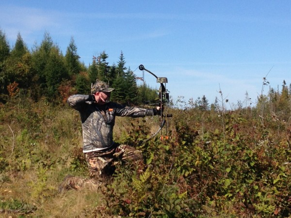 Rifle Vs. Bow Hunting-Pros And Cons