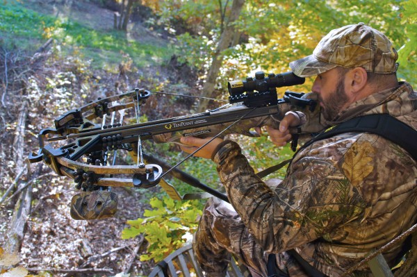 Rifle Vs. Bow Hunting-Pros And Cons