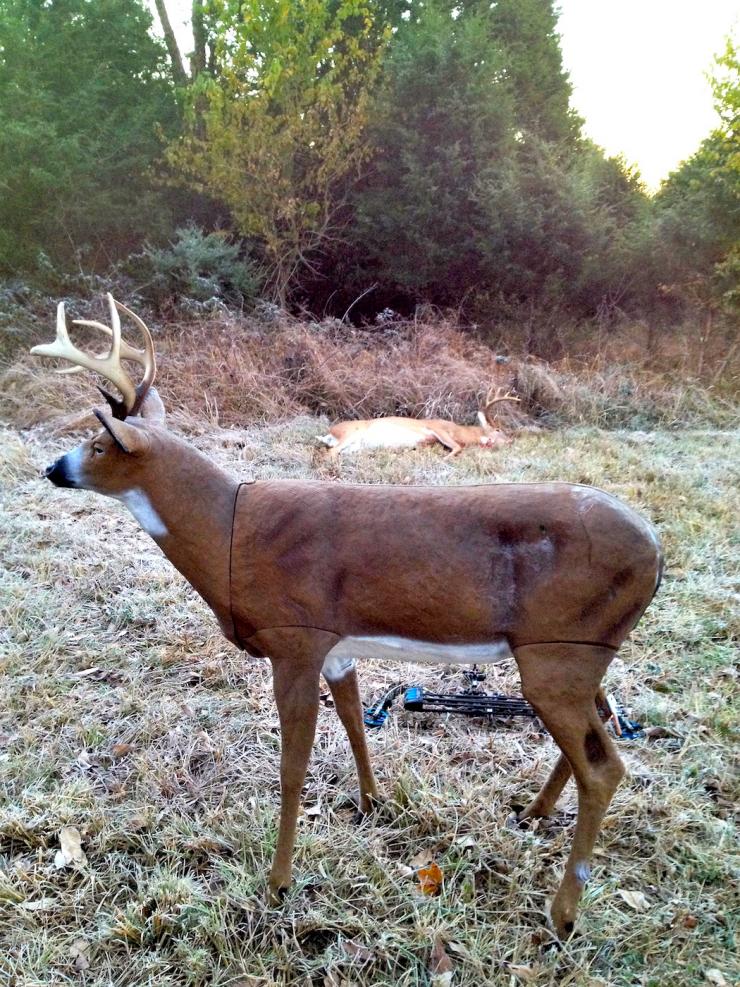 The Uses of Decoys Deer Hunting Tips Hunting Note