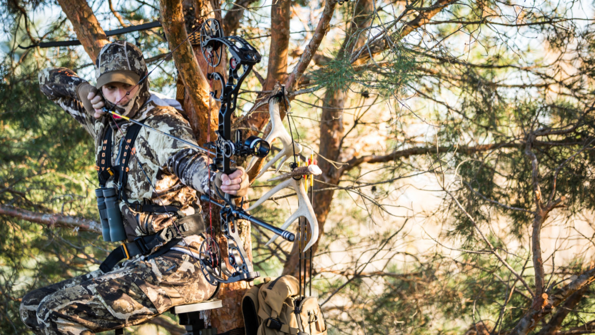 5 Reasons to Consider Bow Hunting vs. Rifle Hunting Hunting Note