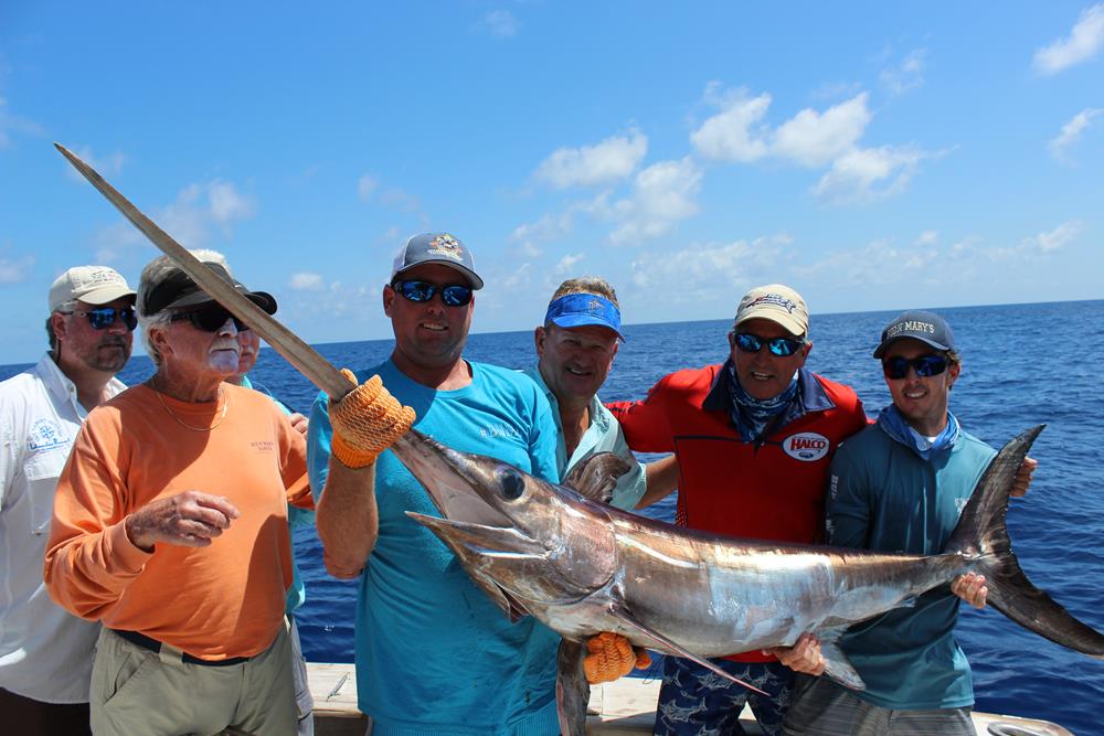 How Much is a Swordfish Worth? Hunting Note